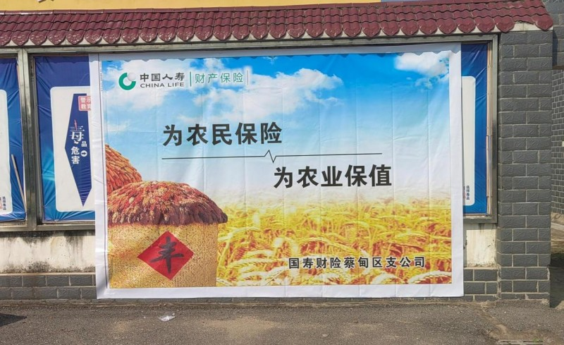 中国人寿财险武汉市中心支公司蔡甸区支公司开展农险宣传 打通惠农政策落地“最后一公里”