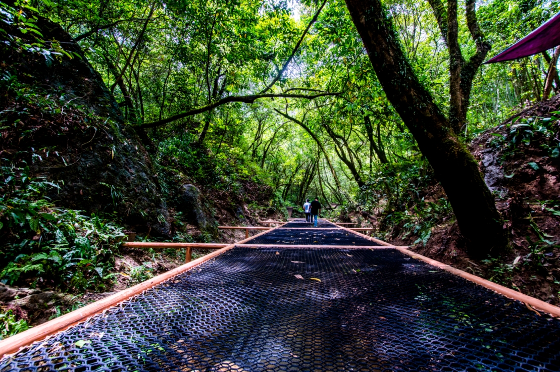 「踏瀑戲水」戶外拓展研學專案