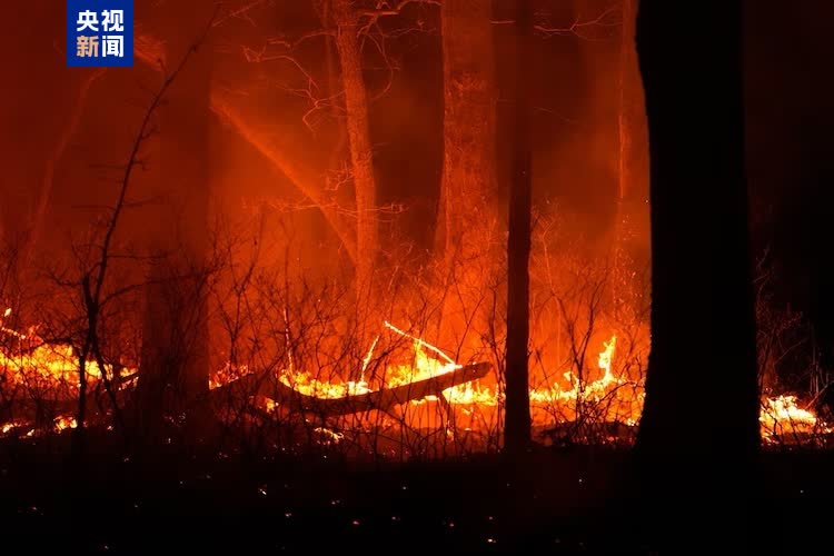 新澤西州山火肆虐，僅不到一成火勢得到控制