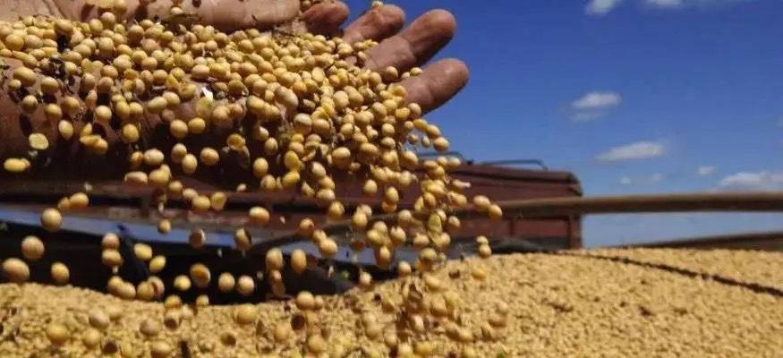 美國農場主生死存亡：關稅政策與“停擺”雙重打擊