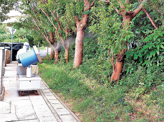 港增兩宗輸入基孔肯雅熱 青衣行蹤成調查焦點 冬季呼吸道病毒雙重威脅浮現