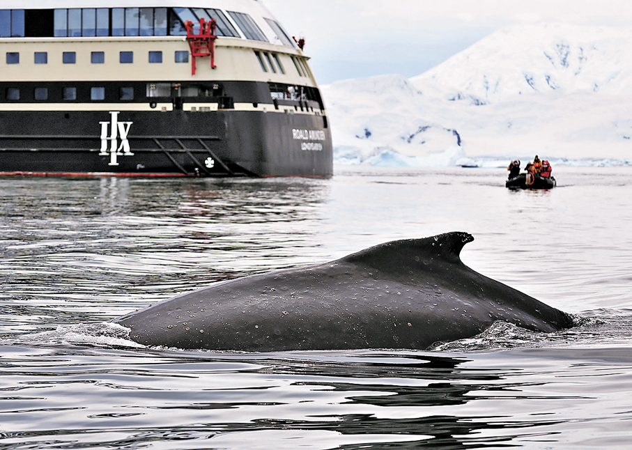 中國推進南極活動與生態環境保護立法 明確野生動物緊急避險規定