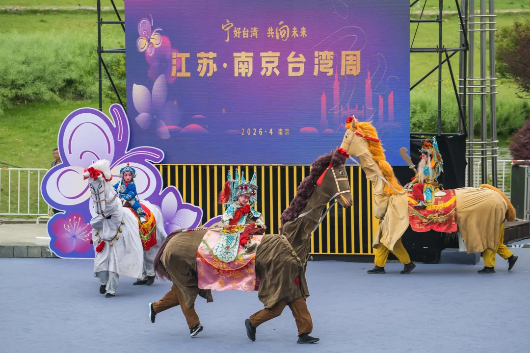 南京台灣周龍舟賽 兩岸五隊揮槳競渡 宜蘭縣議員盼以舟為媒深化情誼