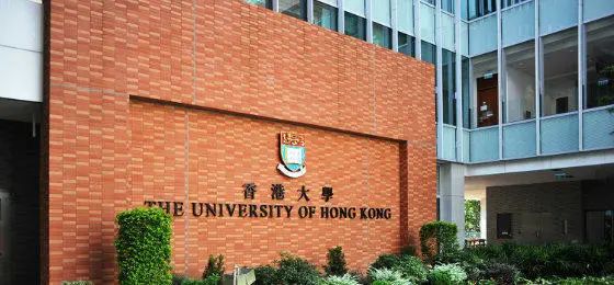 AI浪潮衝擊教育評估 港大推免費工具助教師「思維轉型」應對學術誠信危機