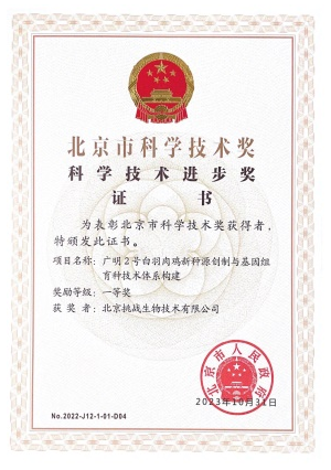 Beijing Science and Technology Award
