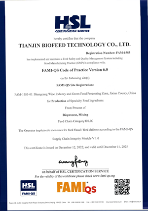 National Quality System Certification Certificate 