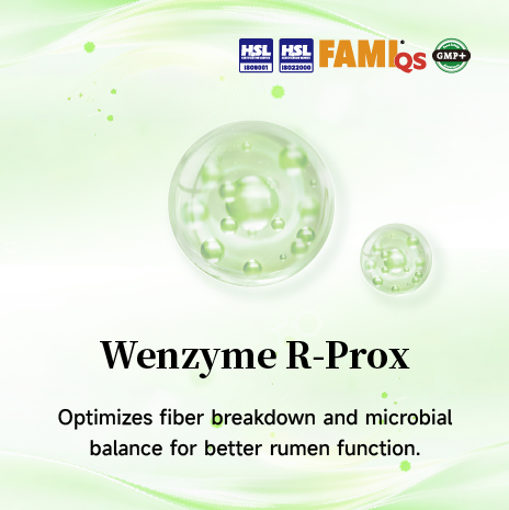 Complex enzymes for Ruminant
