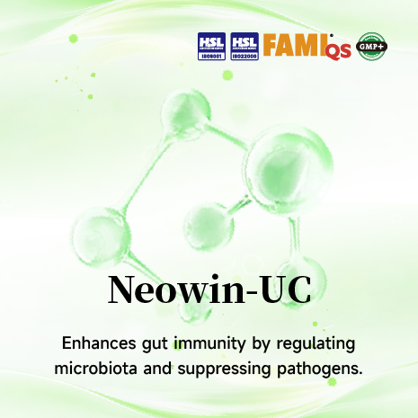 Enterococcus Faecalis