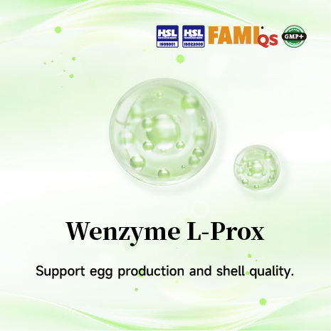 Complex enzymes for Layer