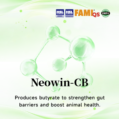 Clostridium Butyricum