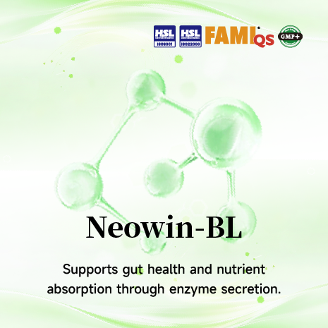 Bacillus Licheniformis