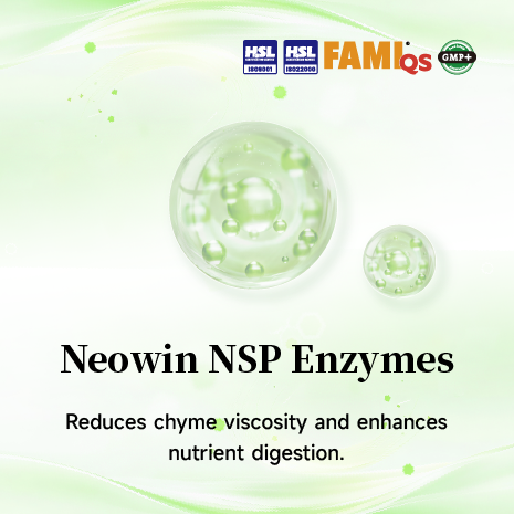 NSP Enzymes