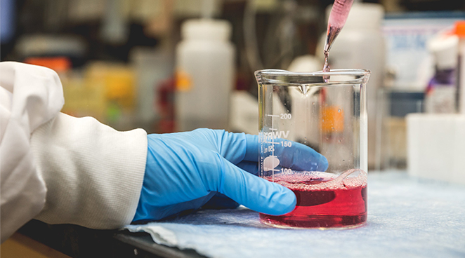 qPCR结果呈现作图 GraphPad制图手把手教学