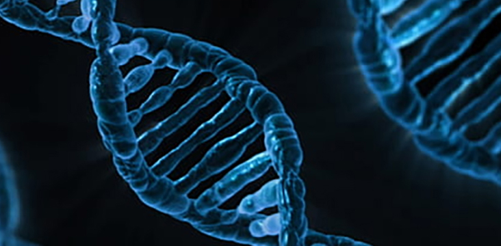 科研神器：蛋白在哪里表达？表达水平高还是低？