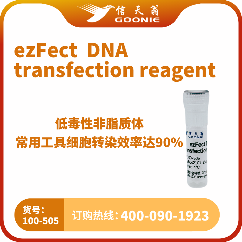 100-505DNA转染