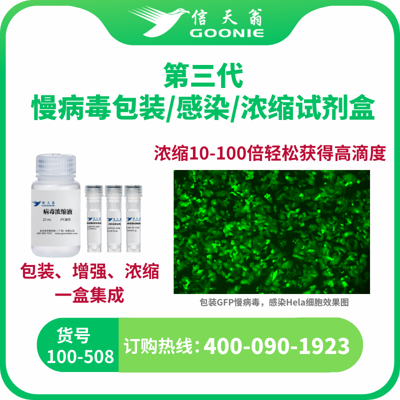 第三代慢病毒包装/感染/浓缩试剂盒