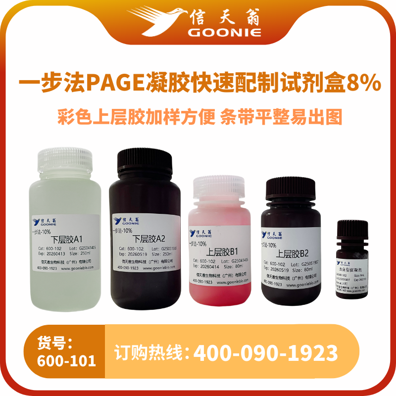 一步法PAGE凝胶快速配制试剂盒8%