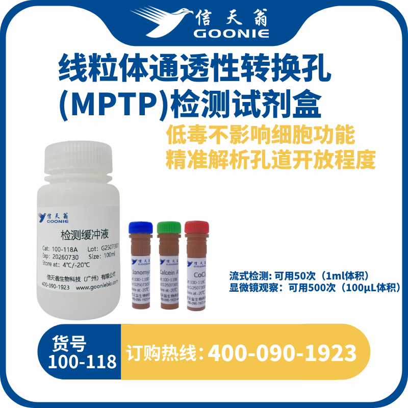 线粒体通透性转换孔(MPTP)检测试剂盒