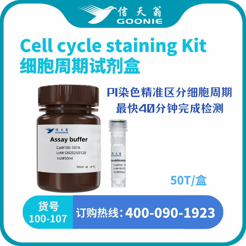 Cell cycle staining Kit 细胞周期试剂盒
