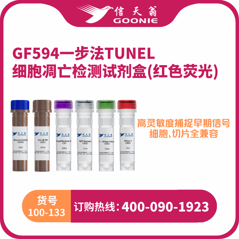 GF594 一步法TUNEL细胞凋亡检测试剂盒(红色荧光 )