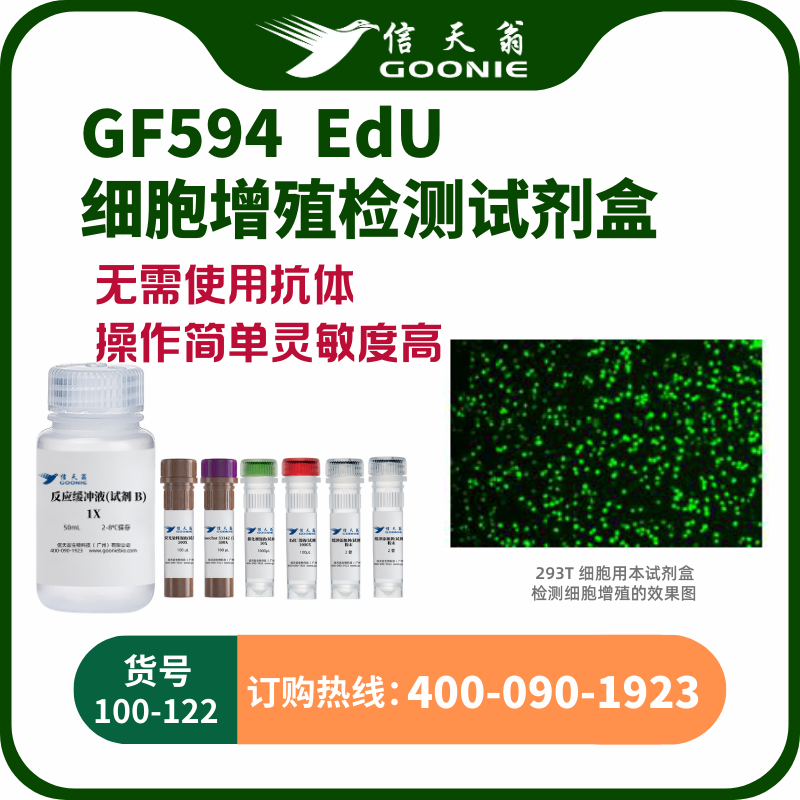 EdU-594 细胞增殖检测试剂盒