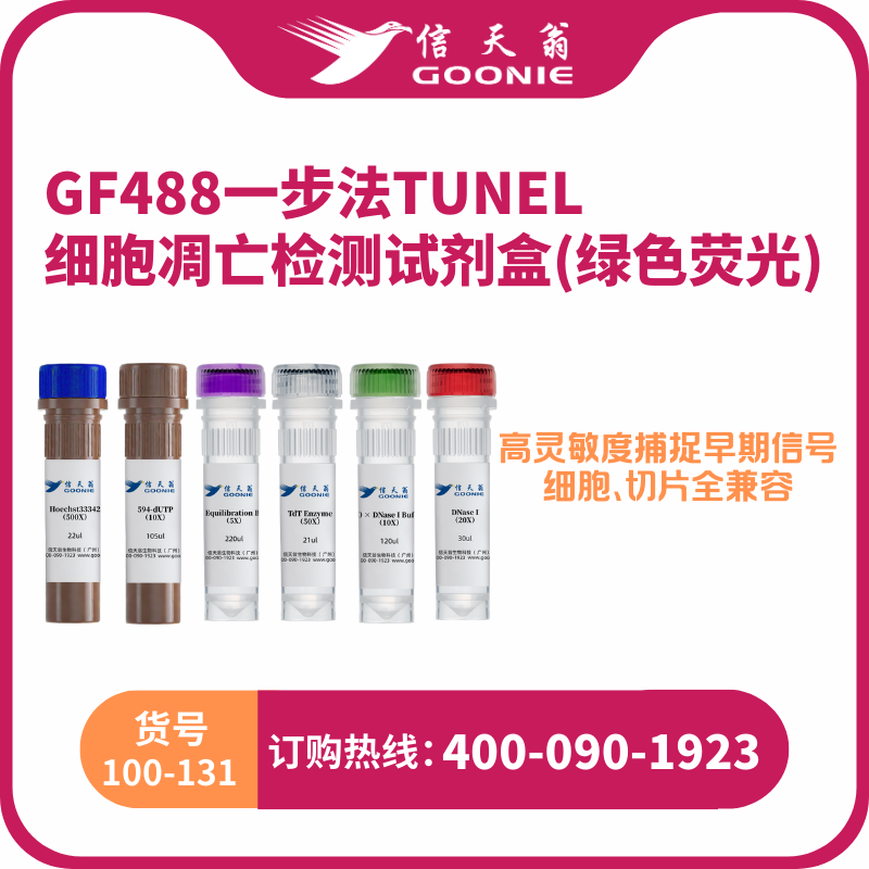 GF488一步法TUNEL细胞凋亡检测试剂盒(绿色荧光)