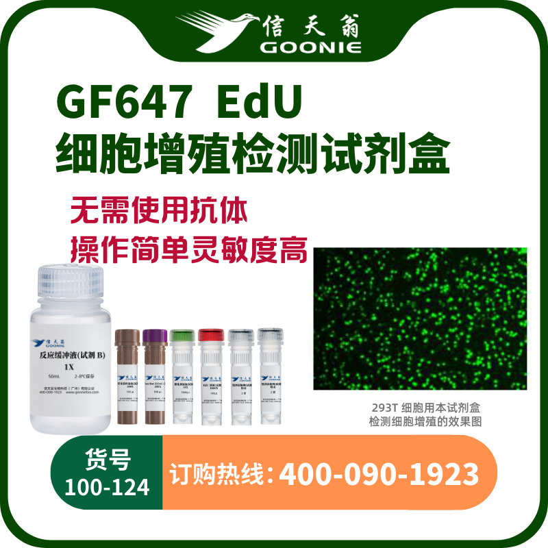 EdU-647 细胞增殖检测试剂盒