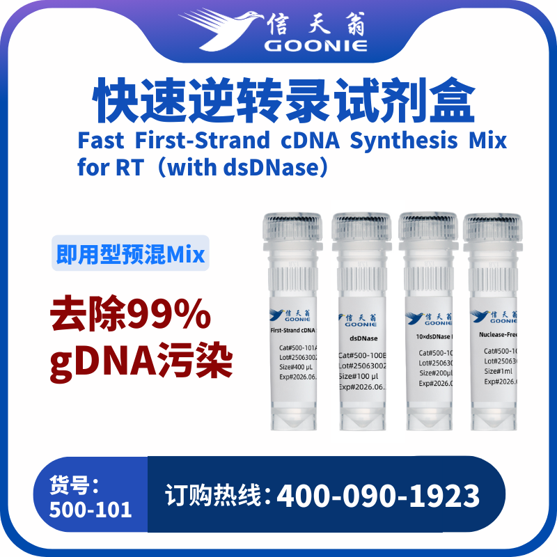 Fast First-Strand cDNA Synthesis Mix for RT（with dsDNase）