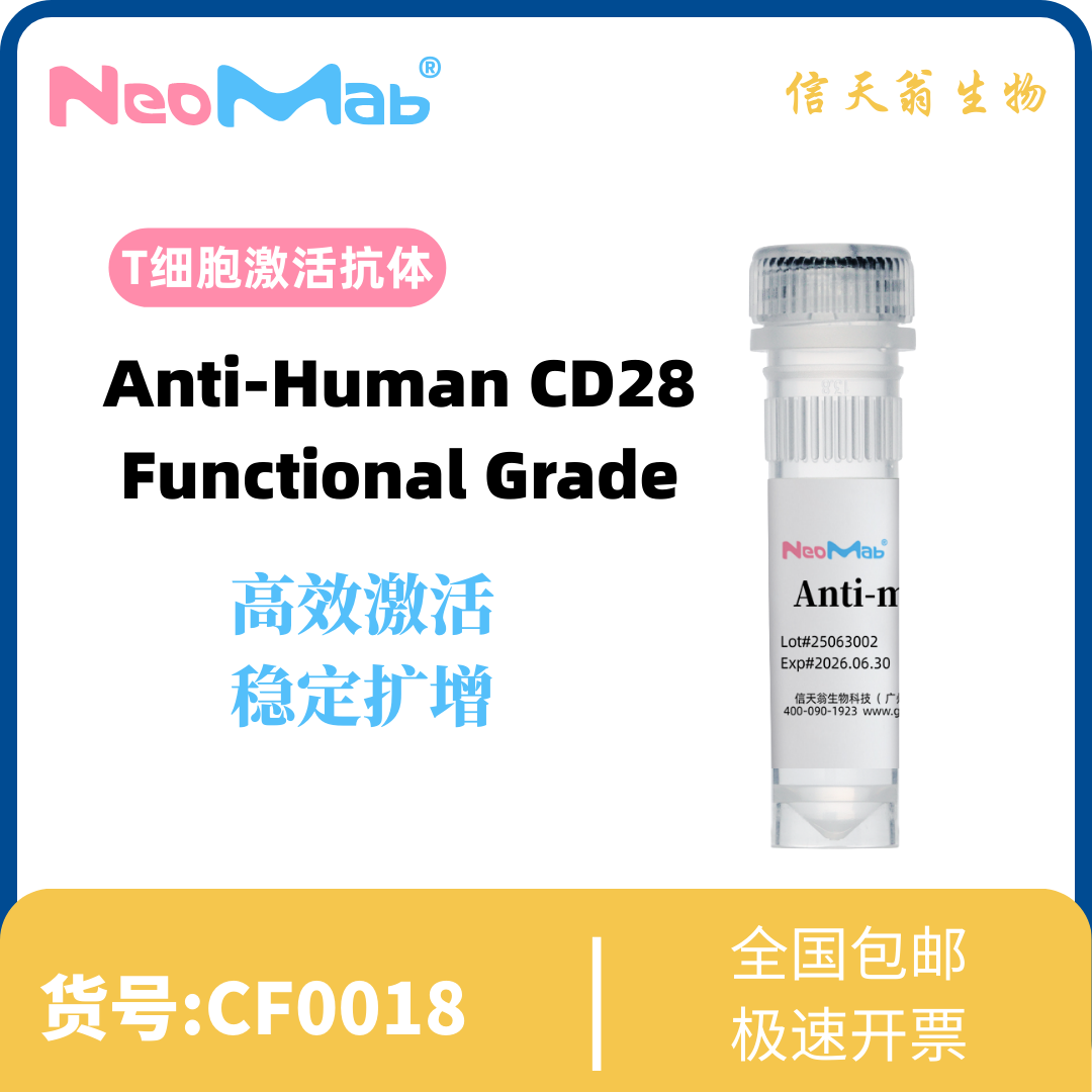 Anti-Human CD28  Functional Grade