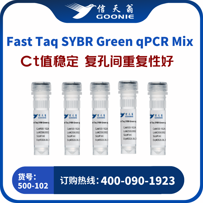 Fast Taq SYBR Green qPCR Mix