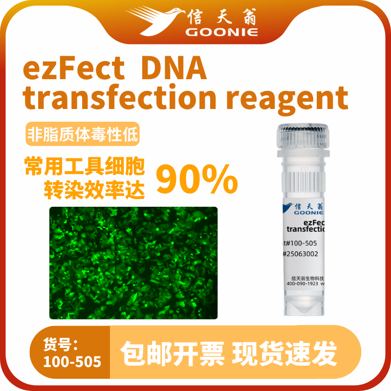 DNA转染试剂 ezFect DNA transfection reagent