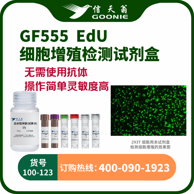EdU-555 细胞增殖检测试剂盒
