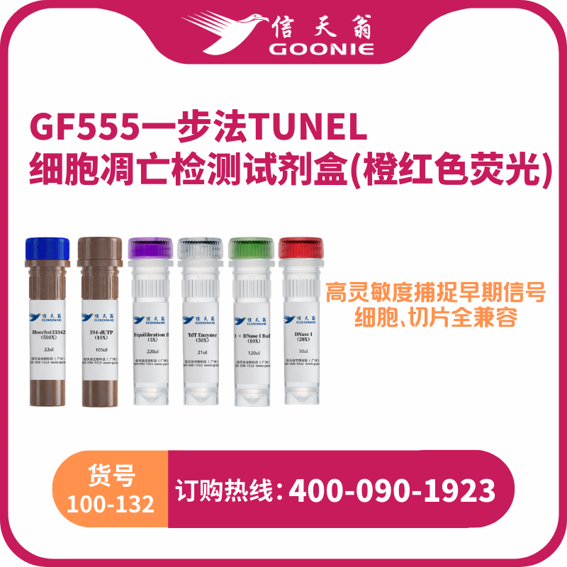 GF555 一步法 TUNEL 细胞凋亡检测试剂盒(橙红色荧光 )