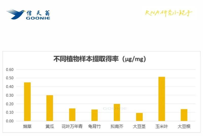 植物RNA提取总失败？新品试剂盒叶片、根茎全搞定！提取只需11分钟