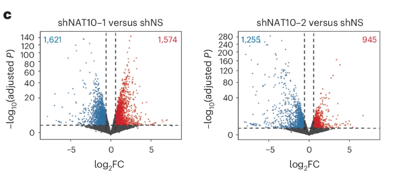 还在为火山图发愁？一文教你快速看懂！