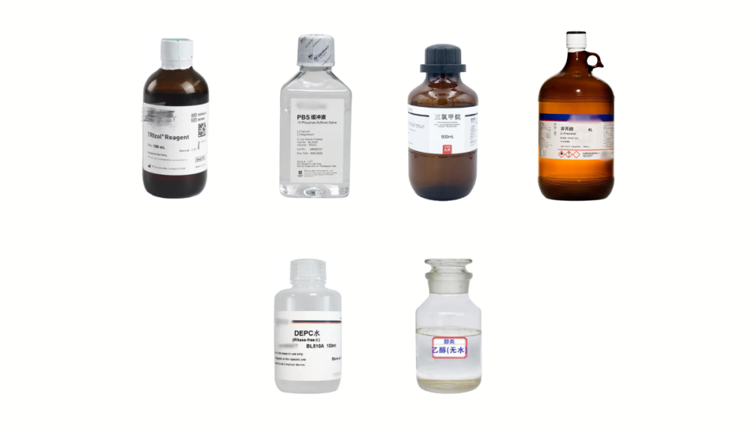 懂原理很重要！一文整理提取RNA试剂的作用