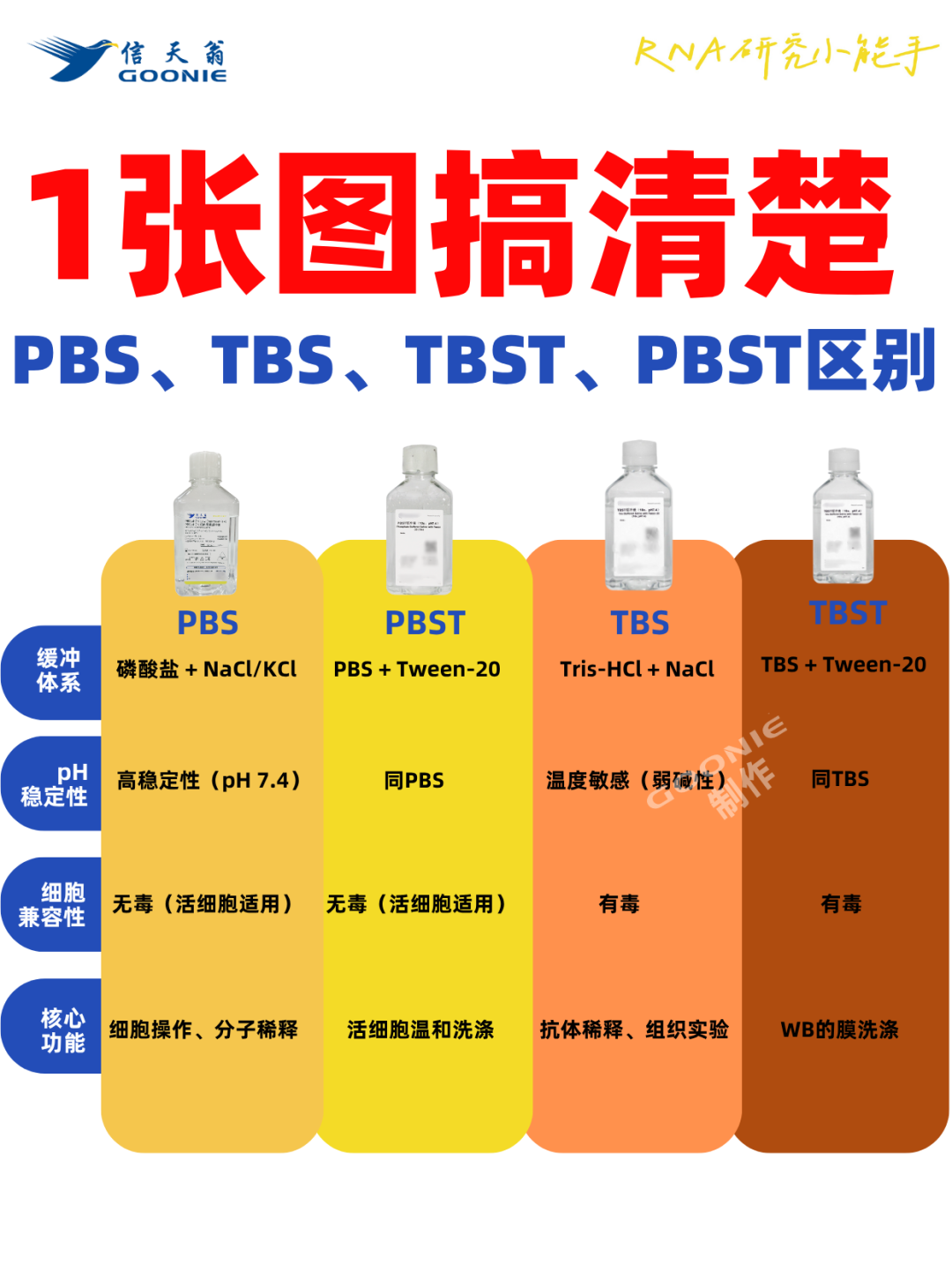 PBS、PBST、TBS、TBST的区别，别再傻傻分不清