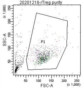 流式细胞仪入门：FSC和SSC是什么？