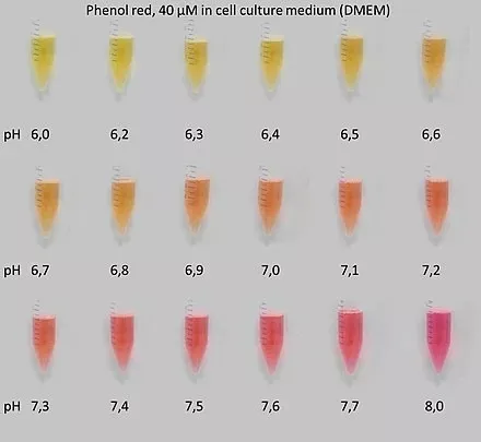 细胞培养基颜色为什么会变化？