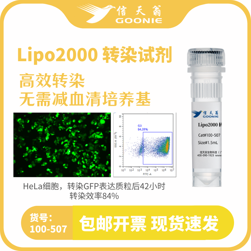 Lipo2000转染试剂
