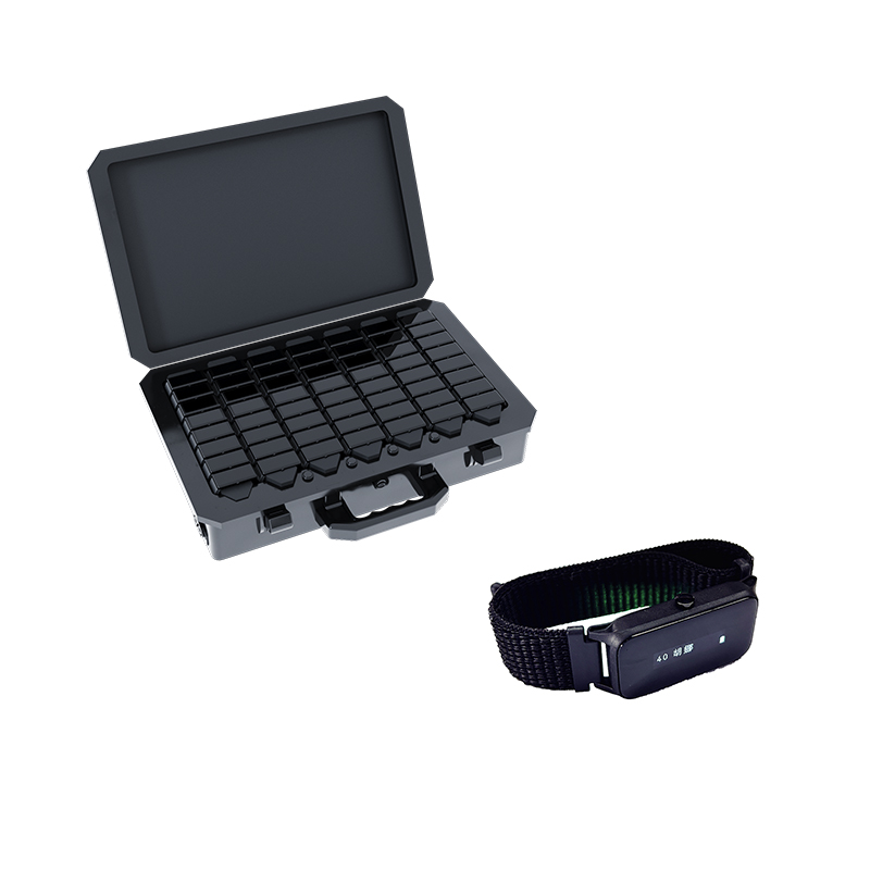 运动负荷监控系统