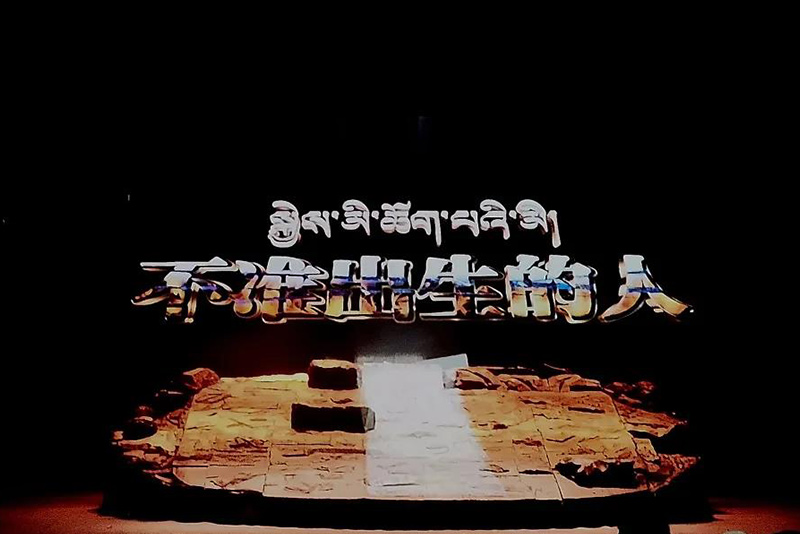 Drama《The Life of No Birth》