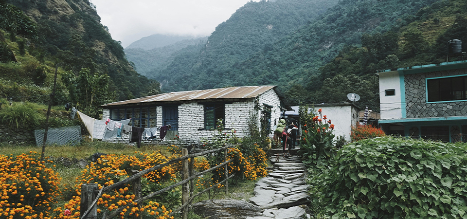 Connectivity for countryside