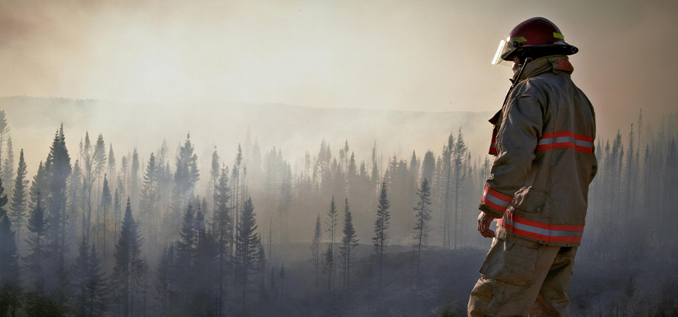 Connectivity for emergency response