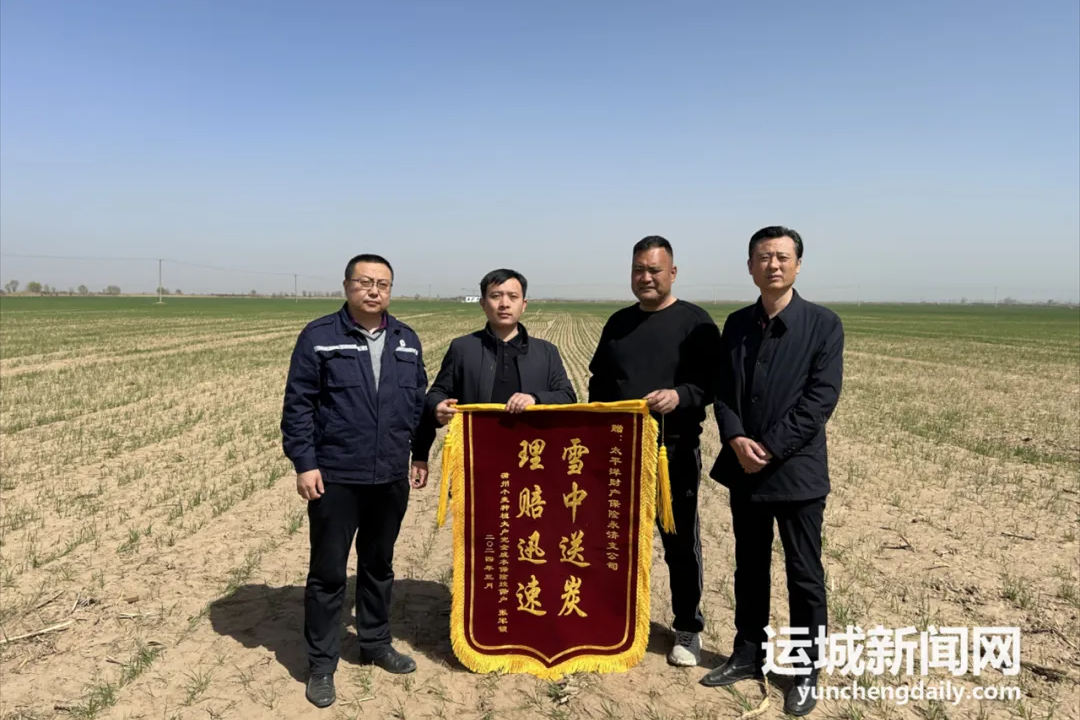 保险惠农守好粮食“安全线”