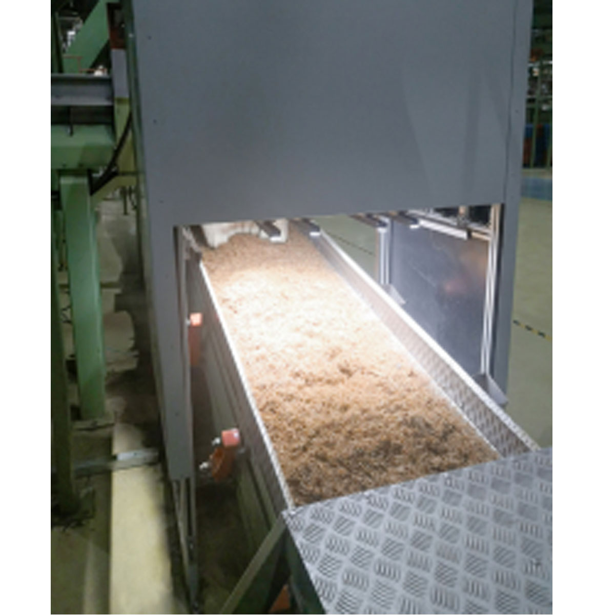 在线视觉霉变检测系统