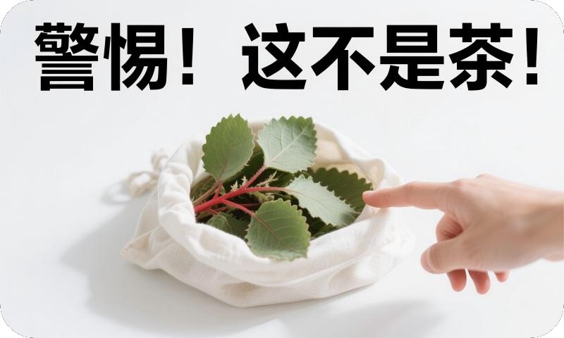 这不是茶，是伪装的新型毒品！警惕毒品恰特草（阿拉伯茶）！