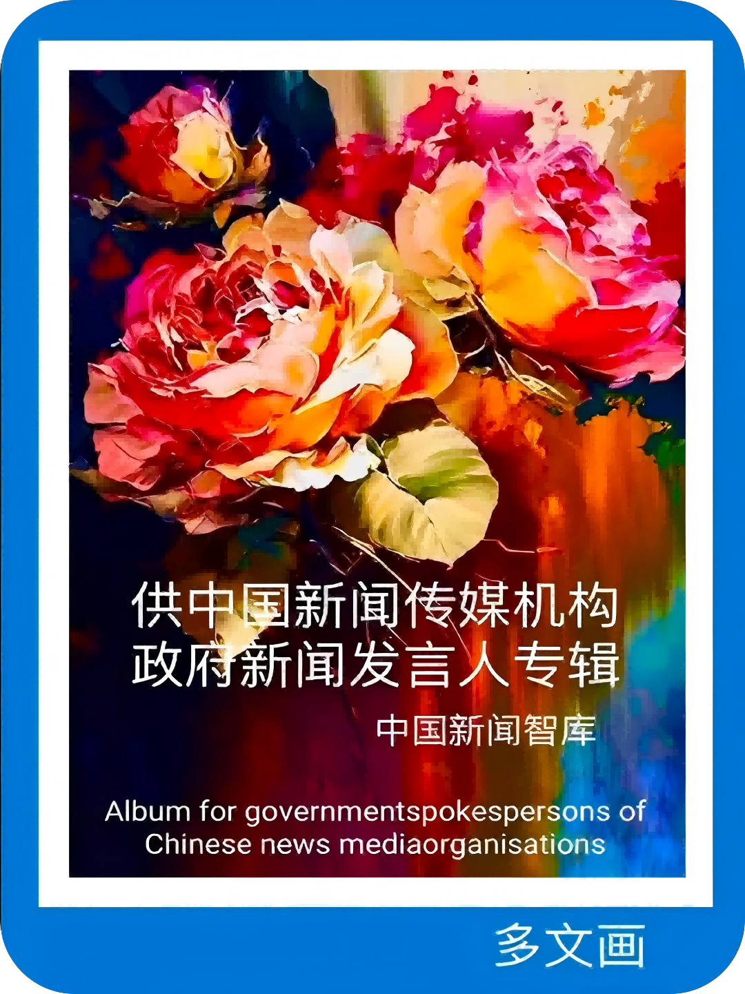 致敬！联合国维和部队