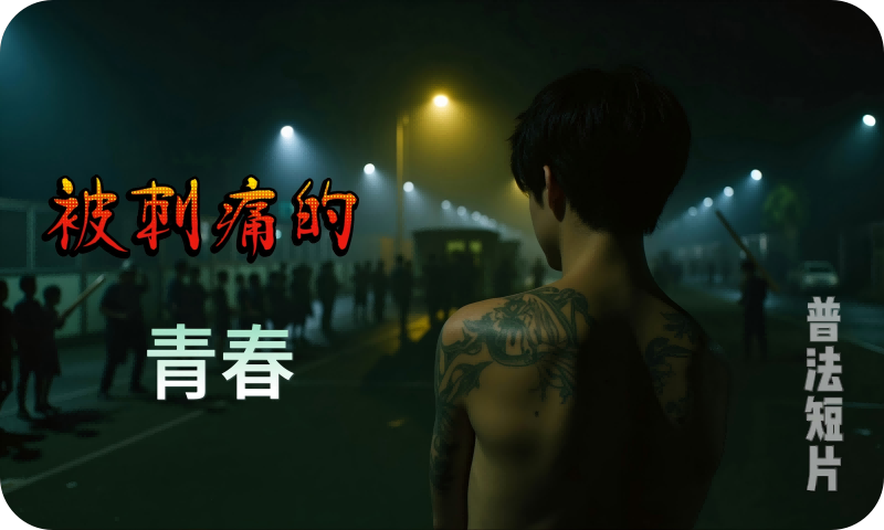 青少年法治教育片 《被刺痛的青春》