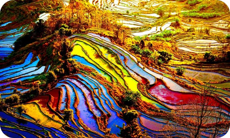 梯田如画（海霞摄）